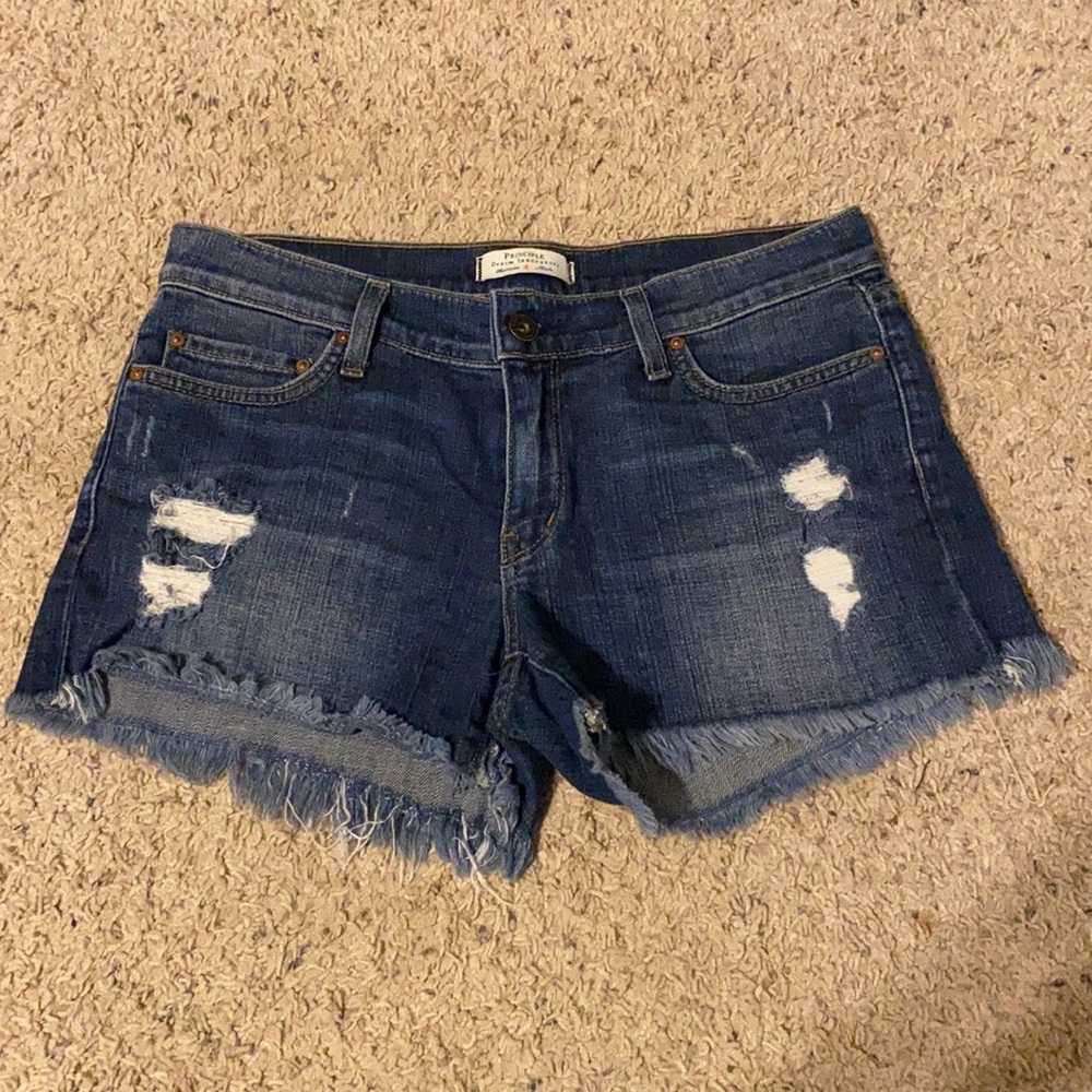 “The Wanderer” Principle shorts